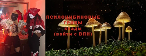 стаф Алзамай