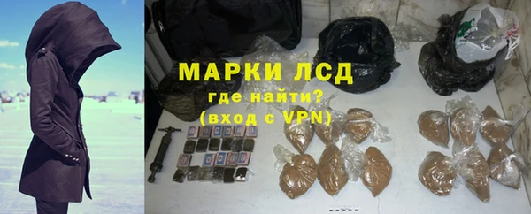 стаф Алзамай