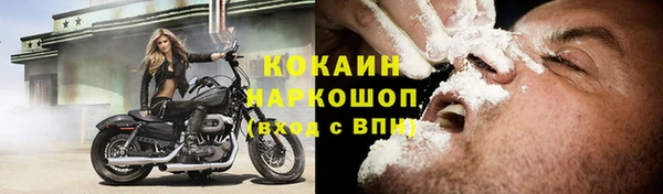 стаф Алзамай