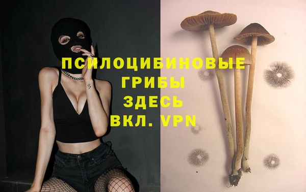 ALPHA-PVP Алексеевка