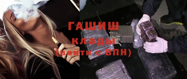 стаф Алзамай