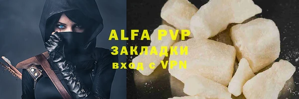 стаф Алзамай