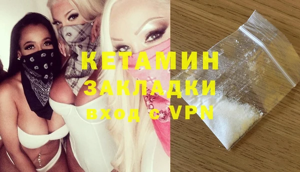 стаф Алзамай