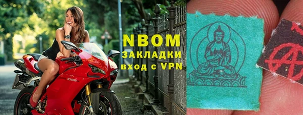 стаф Алзамай