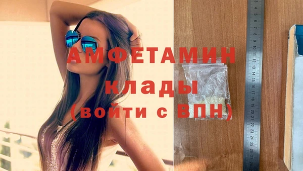 стаф Алзамай