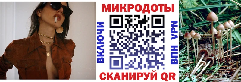 Галлюциногенные грибы Psilocybe  Павловская 